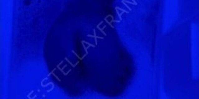 amateur,asian,babes,big tits,boobs,filipina,gorgeous,pov,pretty